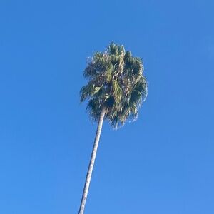 Meet your Posher, Kara